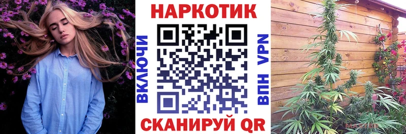 Где можно купить наркотики Бердск Кокаин Бошки Шишки МЕФ АМФ МЕТАДОН Гашиш