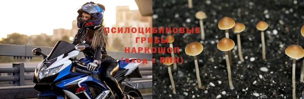 кокс Алексин