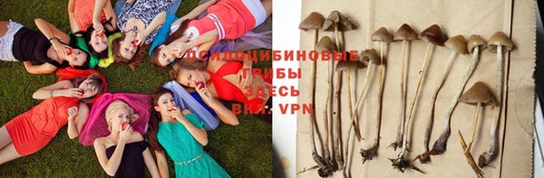 каннабис Наволоки