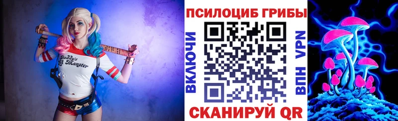Галлюциногенные грибы Magic Shrooms Бердск