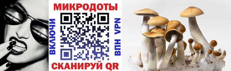 ссылка на мегу ссылки  Бердск  Псилоцибиновые грибы прущие грибы  что такое  